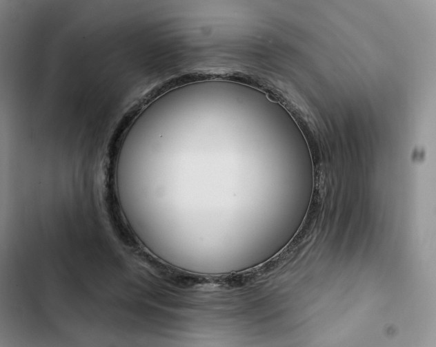 X0000103160544200808221154