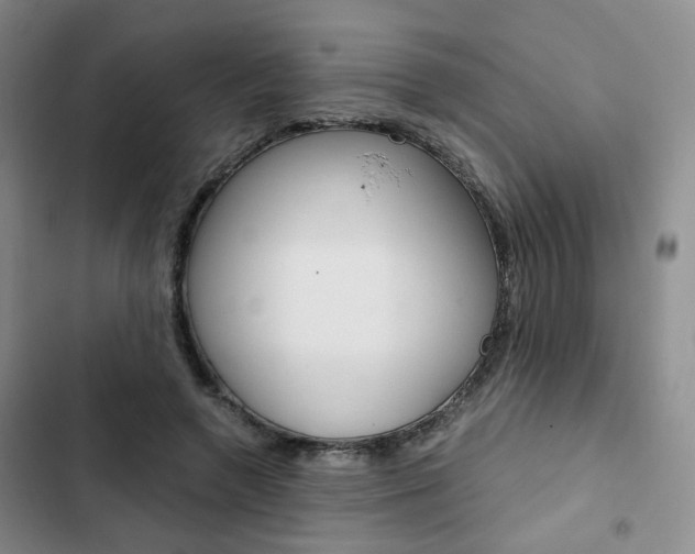 X0000103160546200808221154
