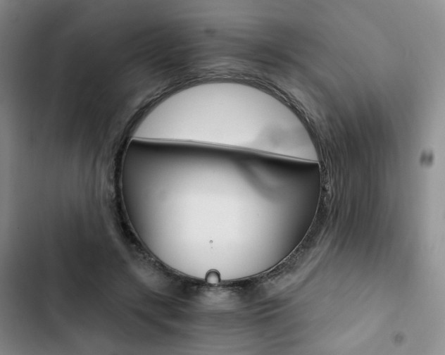 X0000103160547200808221154