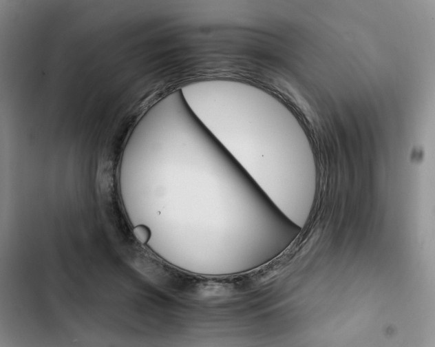 X0000103160549200808221154