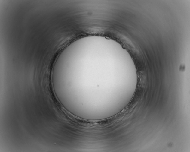 X0000103160550200808221154