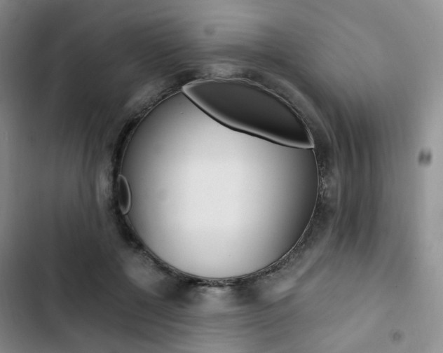 X0000103160552200808221155