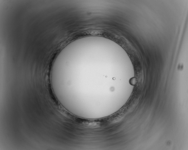 X0000103160553200808221155