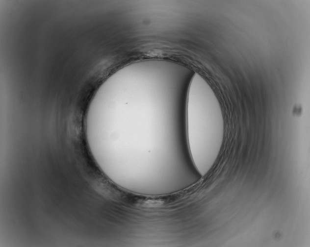 X0000103160554200808221155