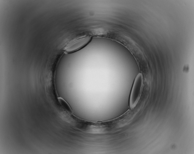 X0000103160556200808221155