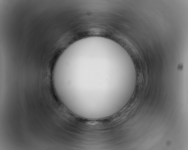 X0000103160557200808221155