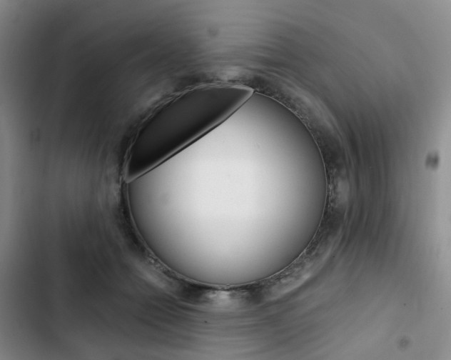 X0000103160558200808221155