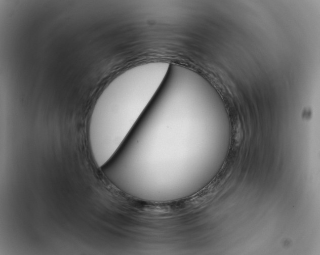 X0000103160559200808221155