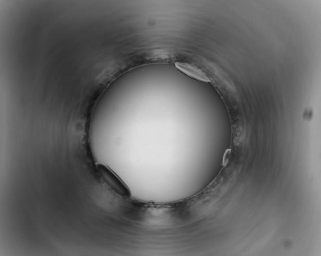 X0000103160560200808221155