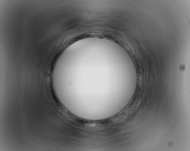 X0000103160561200808221155