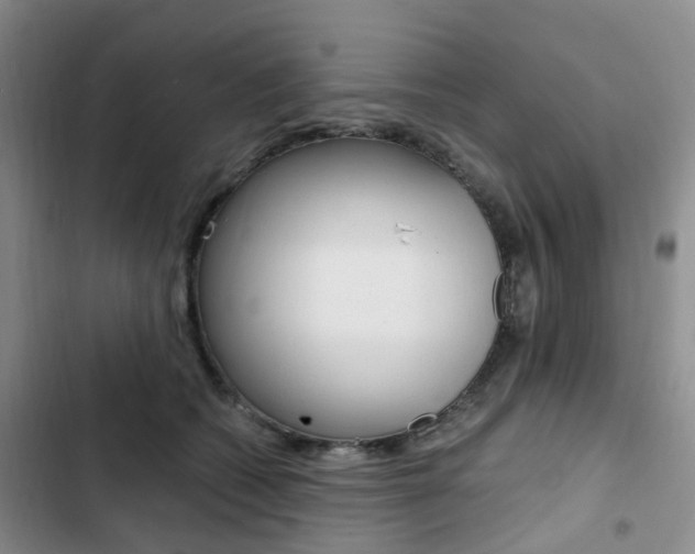 X0000103160562200808221155