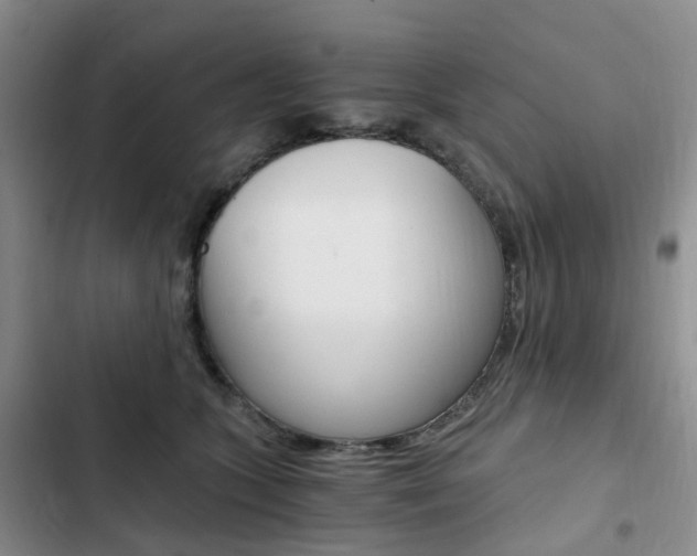 X0000103160563200808221155