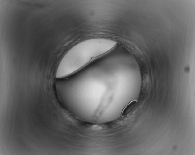 X0000103160566200808221155