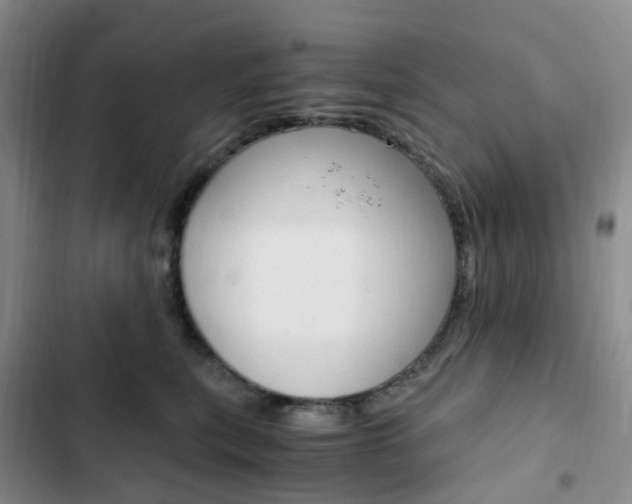 X0000103160567200808221155