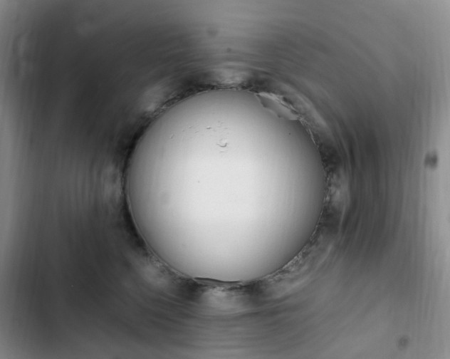X0000103160568200808221155