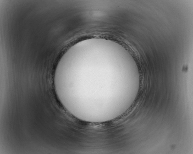 X0000103160569200808221155