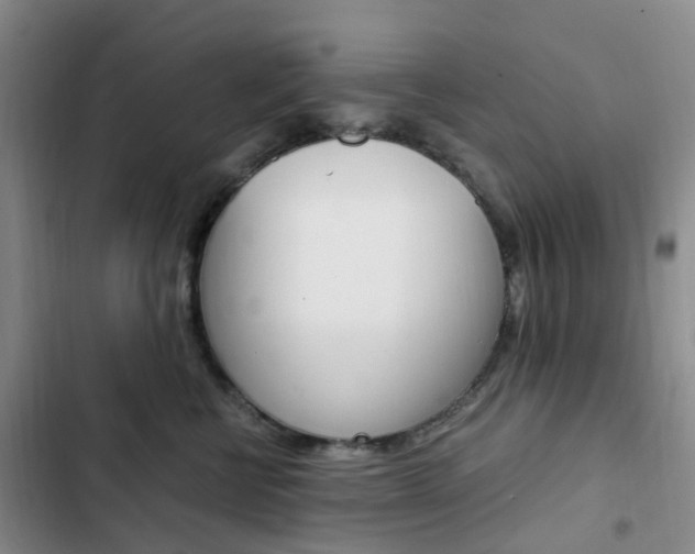 X0000103160570200808221155