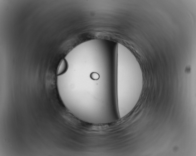 X0000103160571200808221155