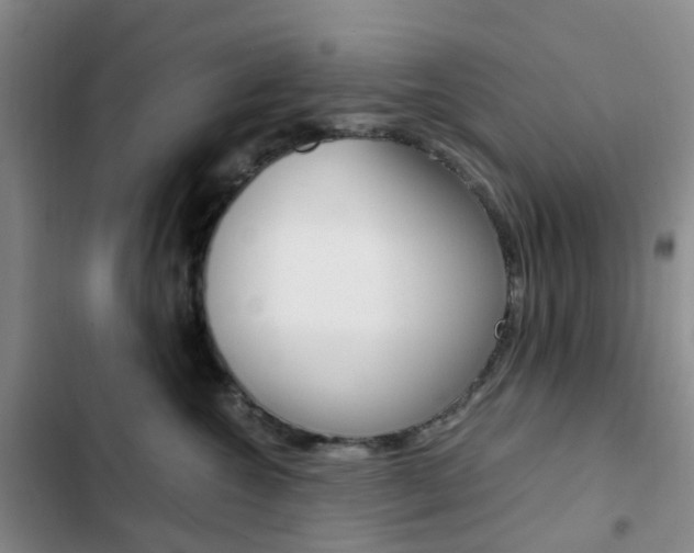 X0000103160572200808221155