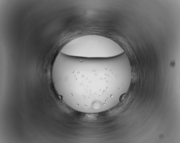X0000103160573200808221155