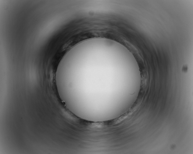 X0000103160574200808221155