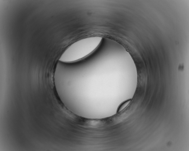 X0000103160575200808221155
