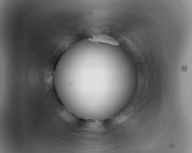 X0000103160576200808221155