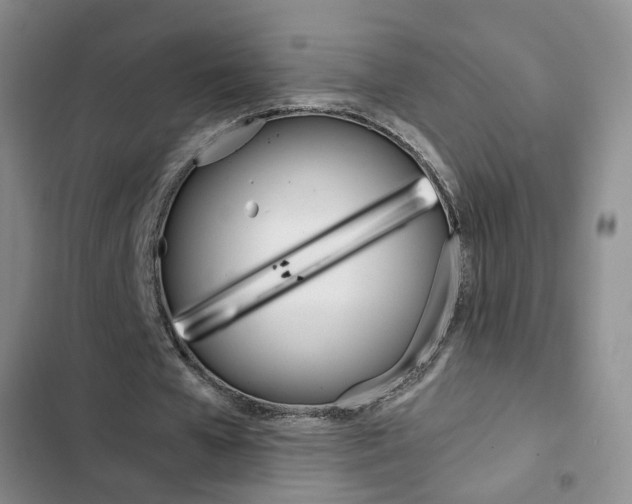 X0000103160577200808221154