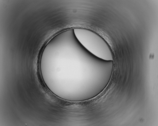 X0000103160578200808221154