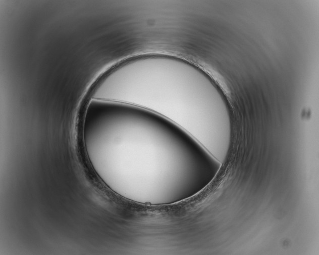 X0000103160580200808221154