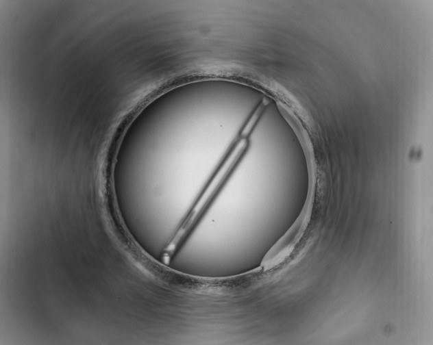 X0000103160581200808221154
