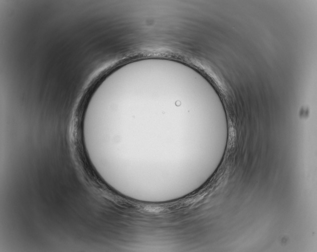 X0000103160583200808221154