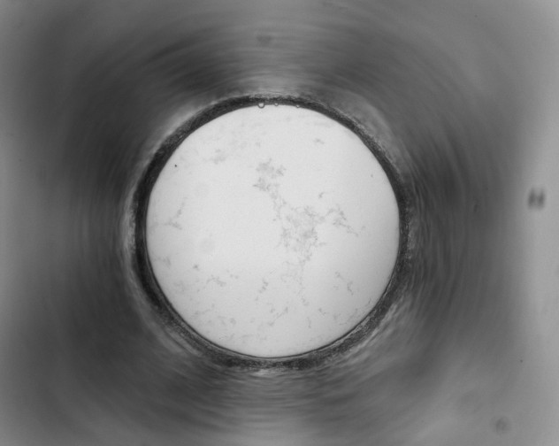 X0000103160584200808221154