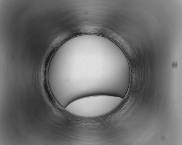 X0000103160586200808221154
