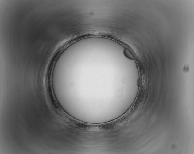 X0000103160587200808221154