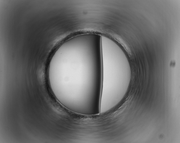 X0000103160588200808221154
