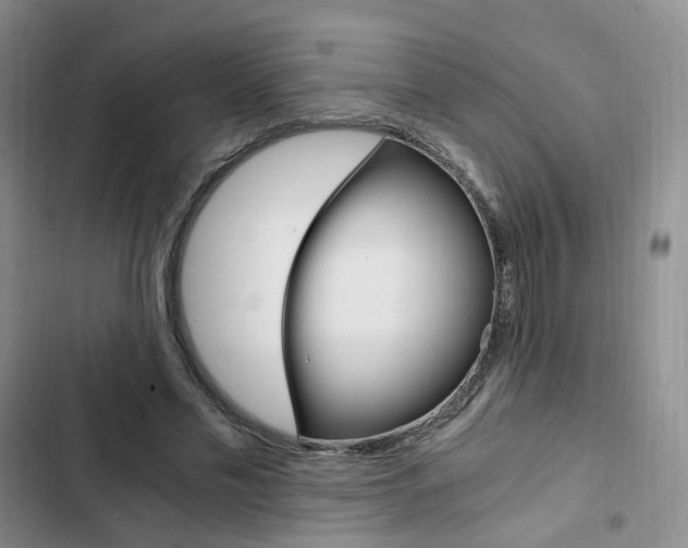 X0000103160589200808221154