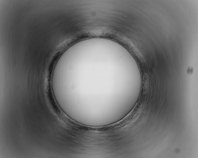 X0000103160590200808221154
