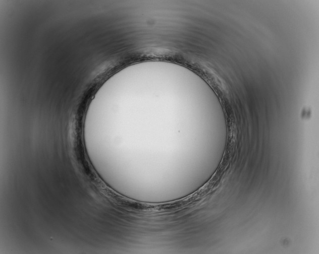 X0000103160591200808221154