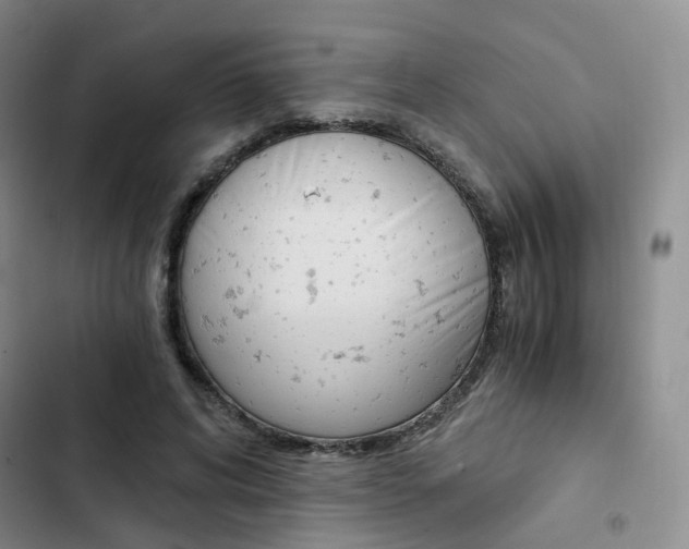 X0000103160592200808221154