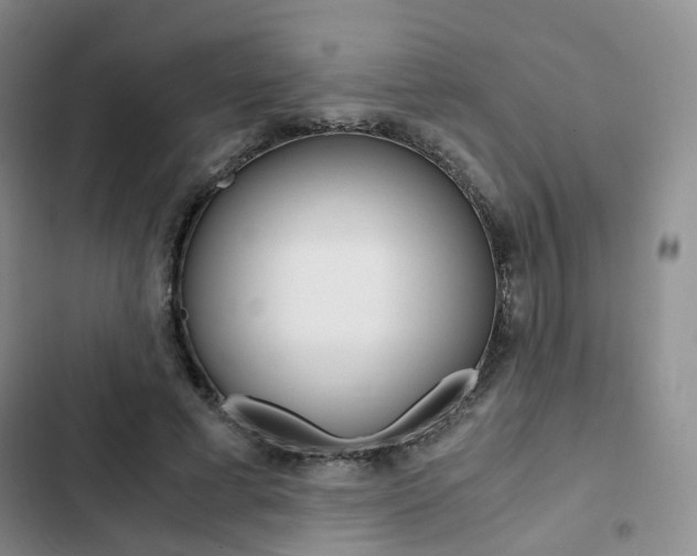 X0000103160593200808221154