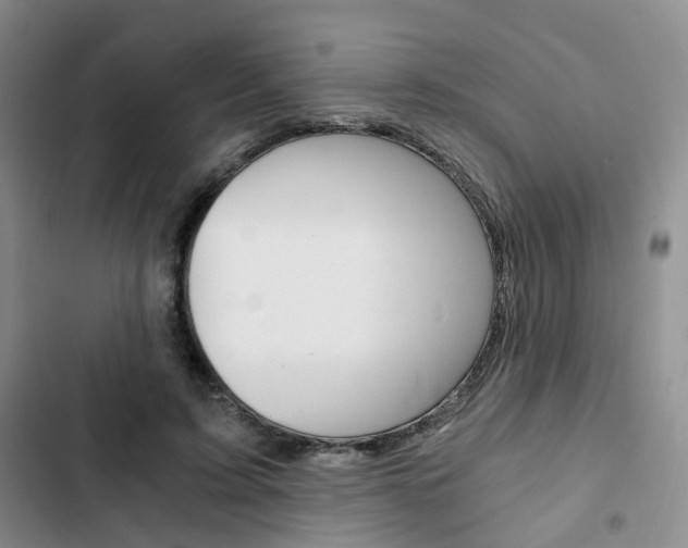 X0000103160595200808221154