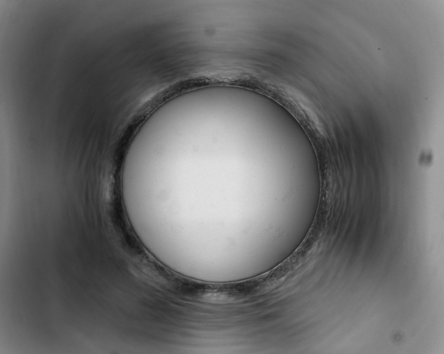 X0000103160596200808221154