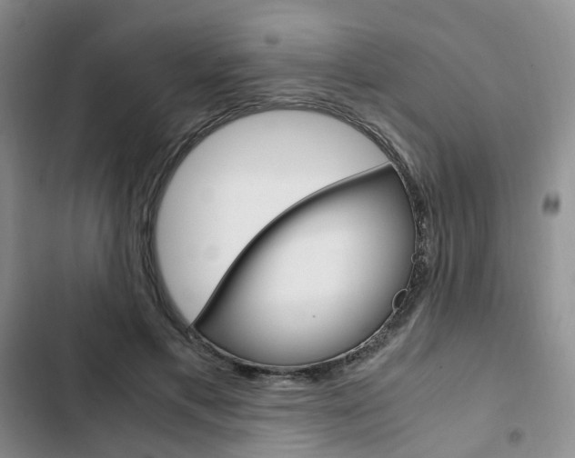 X0000103160597200808221154