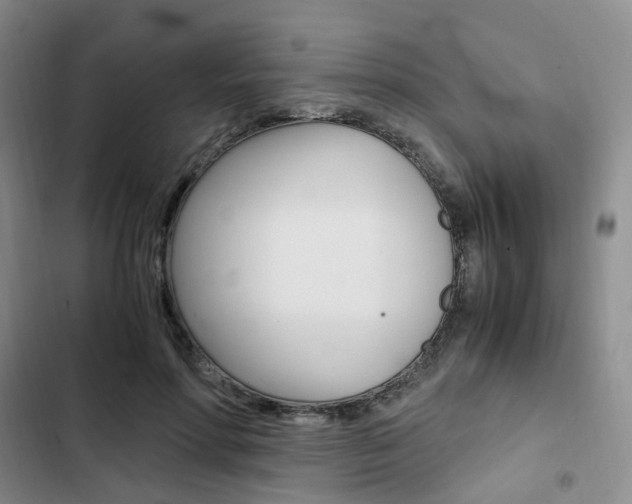 X0000103160598200808221154