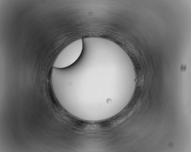 X0000103160599200808221154