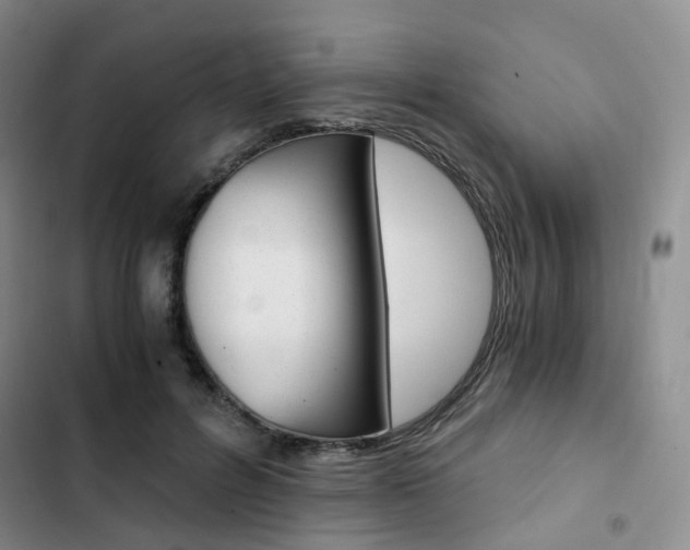 X0000103160600200808221154