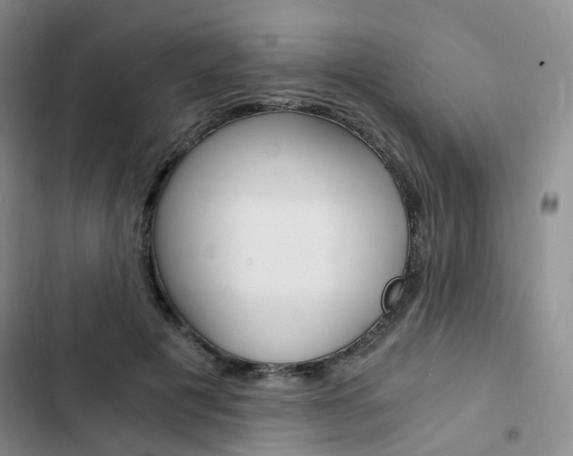 X0000103160601200808221154