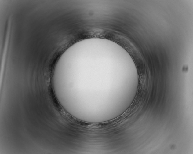 X0000103160602200808221154