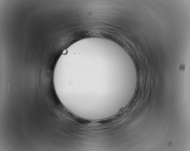 X0000103160603200808221154